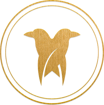 Leonardo Sommermeyer Logo
